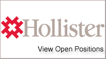 hollistercompany